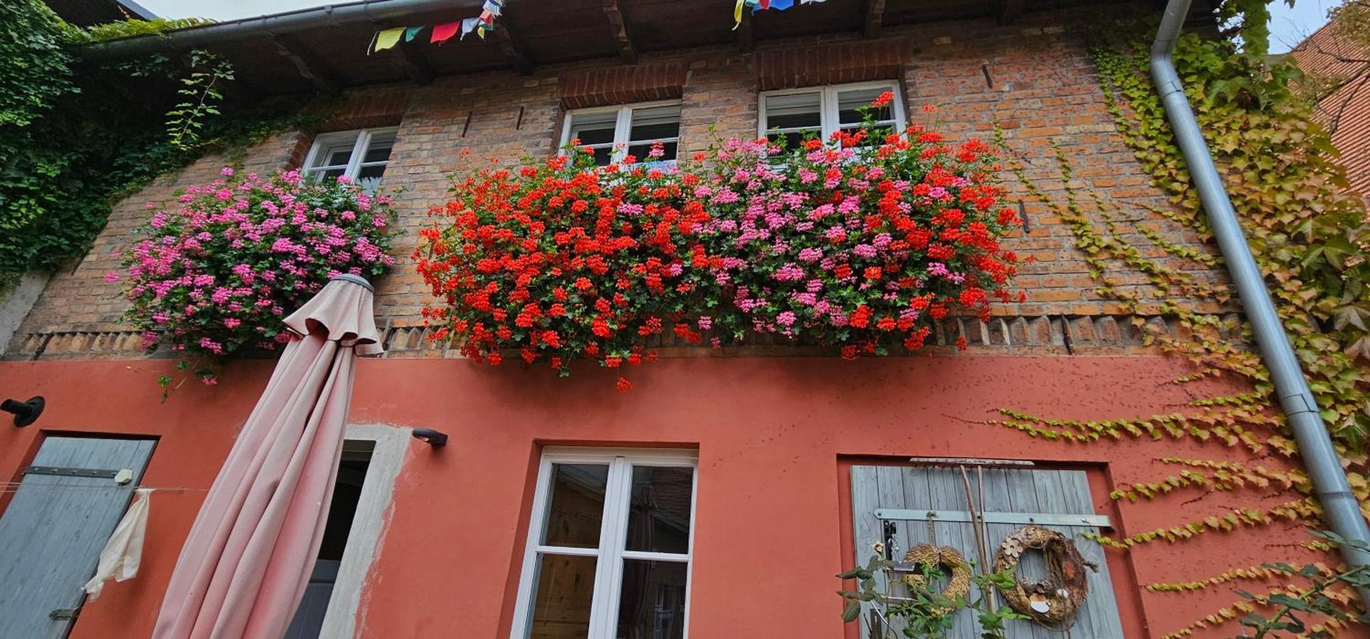 Ferienhaus In Der Historischen Altstadt Von Angermuende Ангермюнде Екстериор снимка